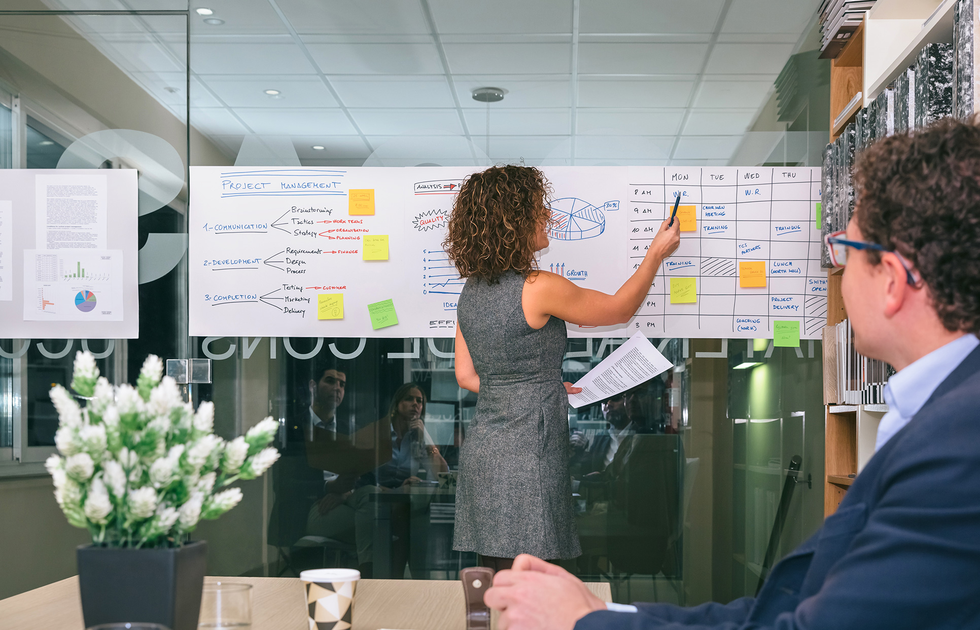 Project management
