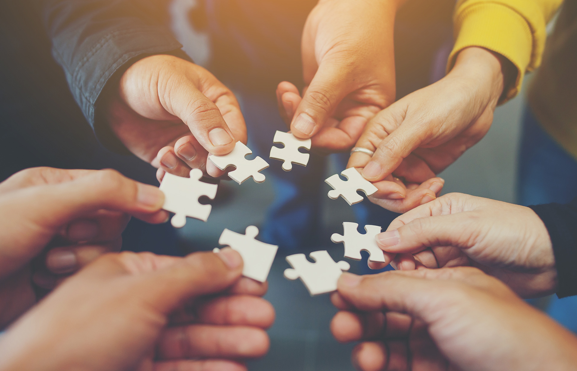 High performance teams